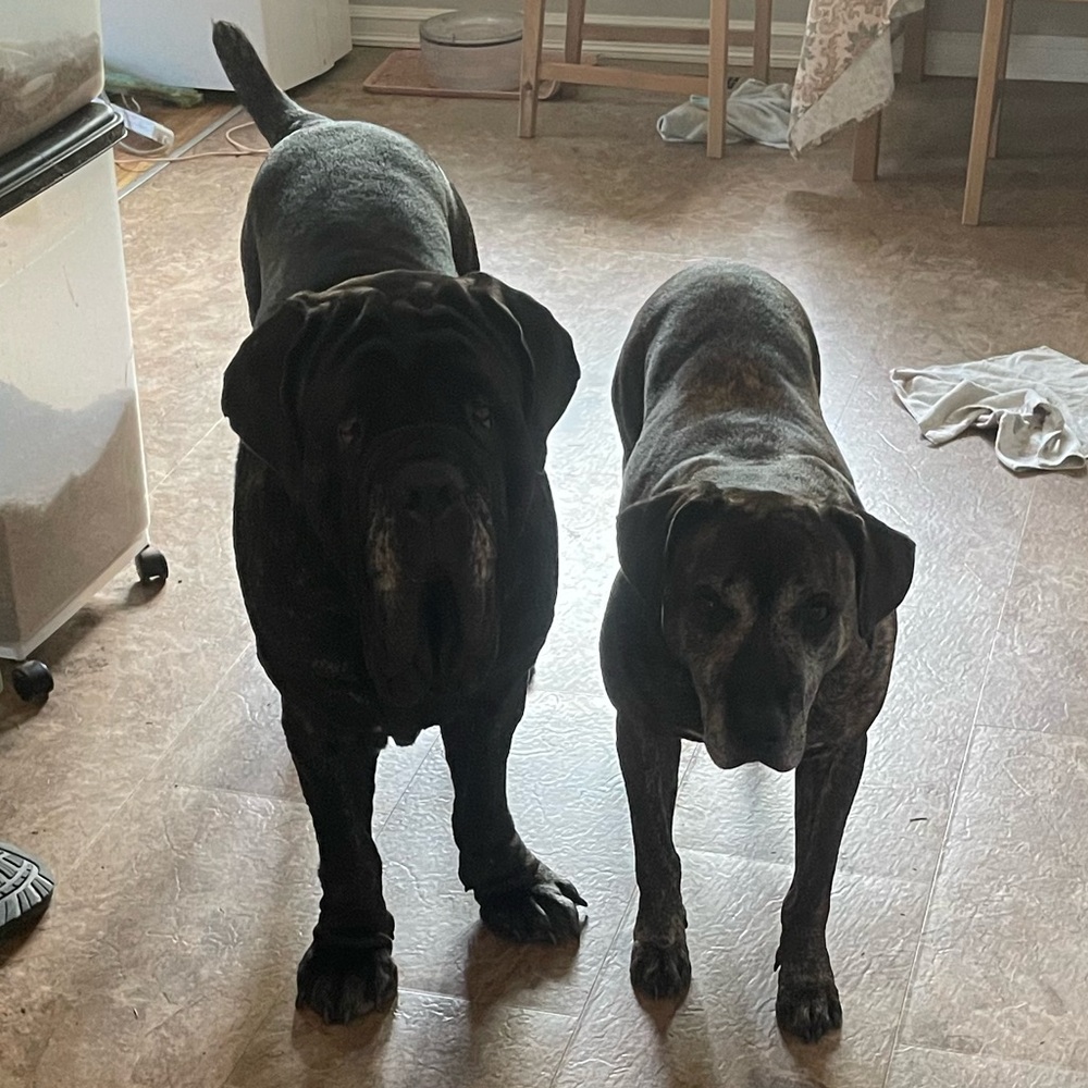 Hello!! - Picture 5 of 5